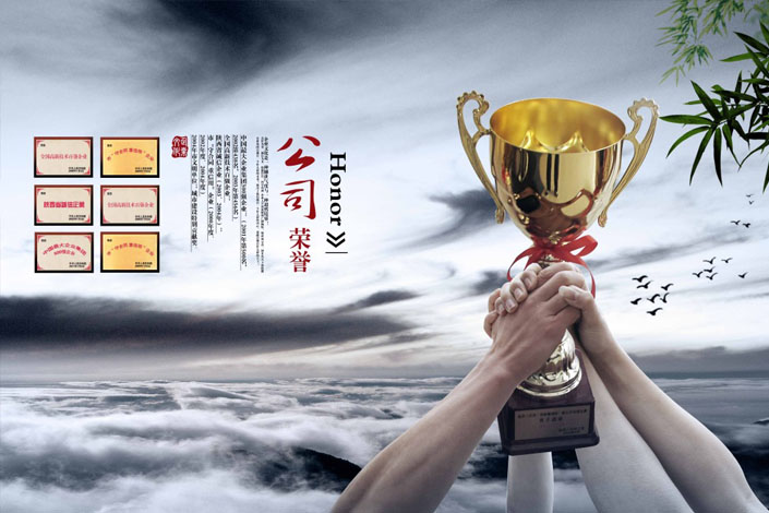 企業(yè)榮譽(yù)